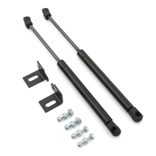 Ford Mustang 15-23 Bonnet Strut Dampers